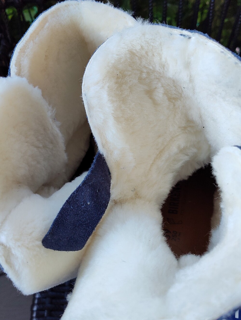 Uppsala Shearling - Picture 4 of 7